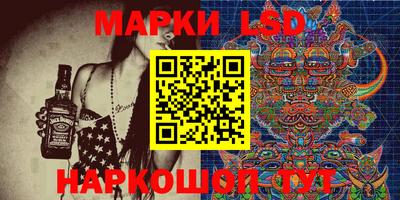 spice Кунгур