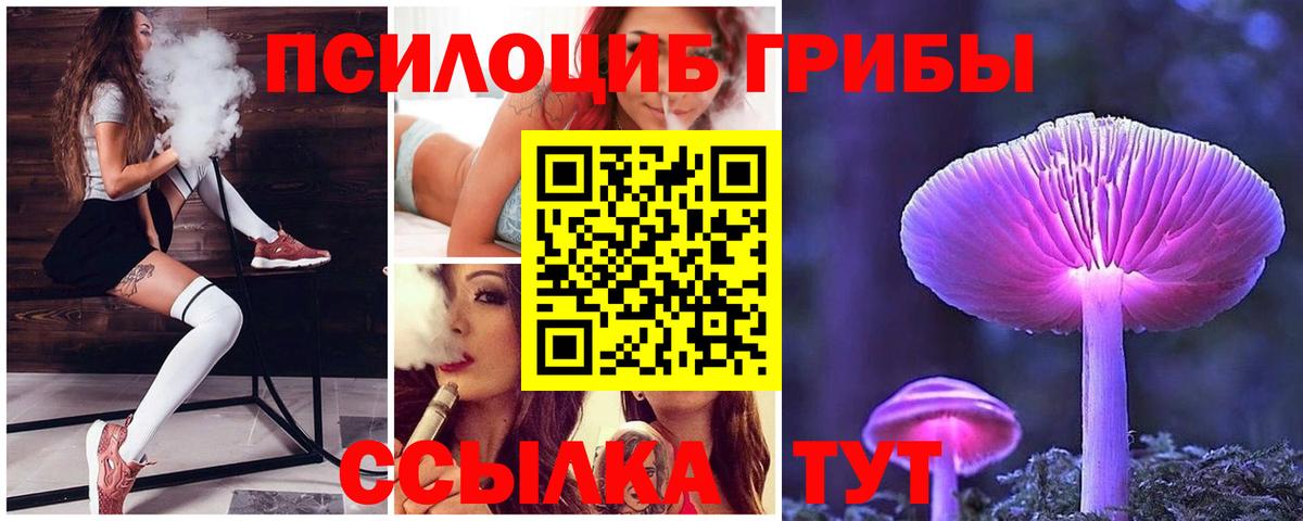 Жигулёвск  Галлюциногенные грибы ЛСД  Вход с VPN 